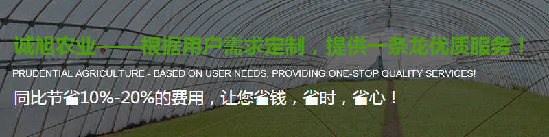 陜西溫室大棚安裝 陜西溫室大棚安裝